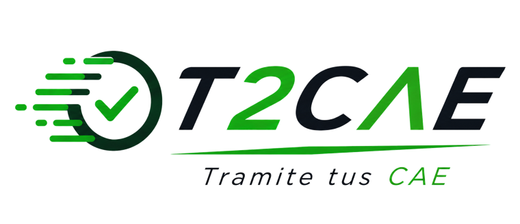 T2CAE